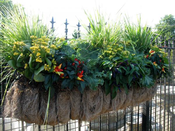 hay racks 001